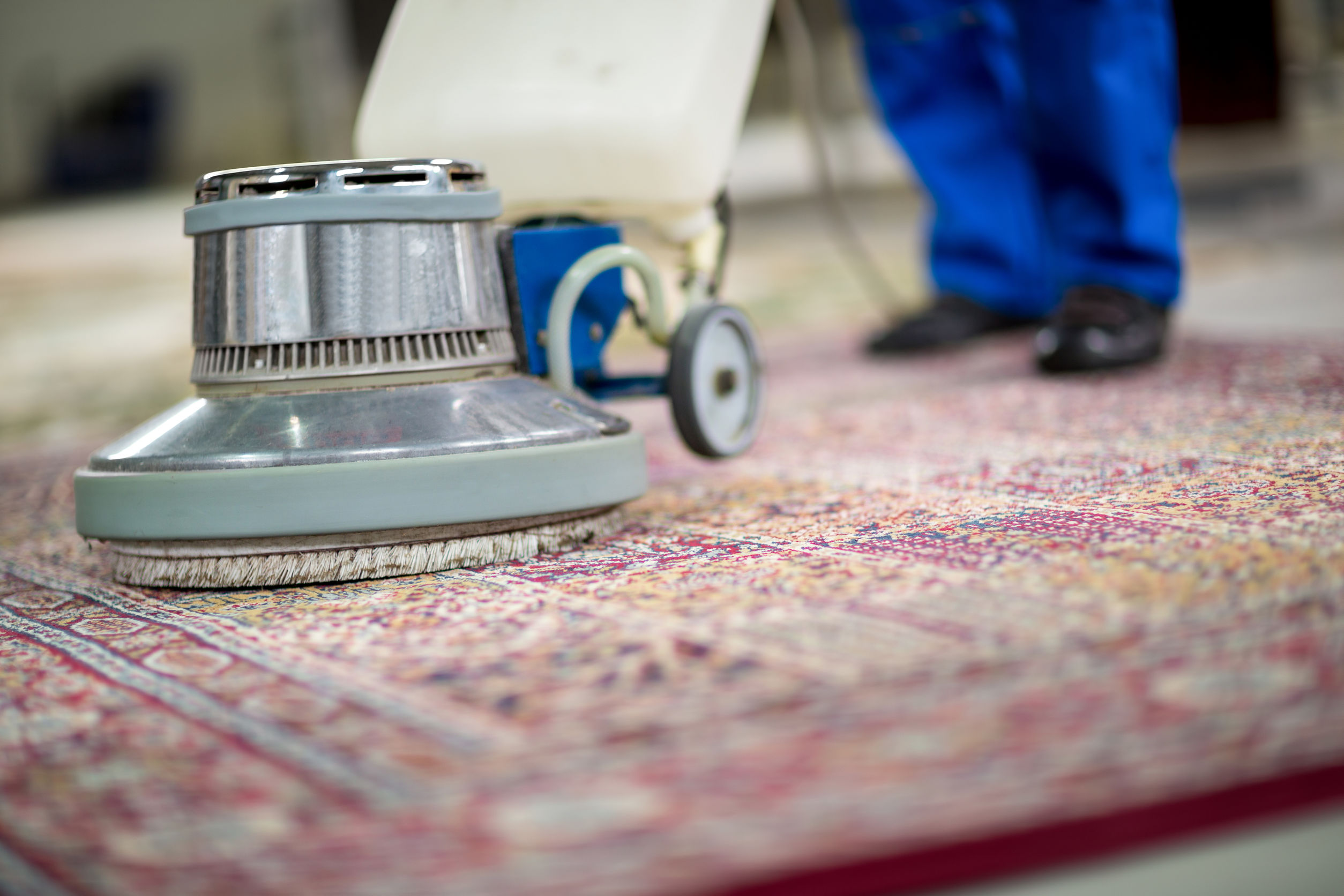 professional-rug-cleaners